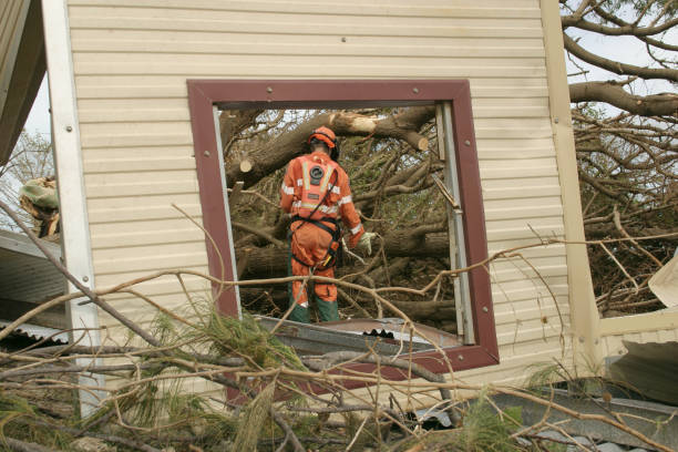 Best Tree Mulching  in Hillsboro, ND